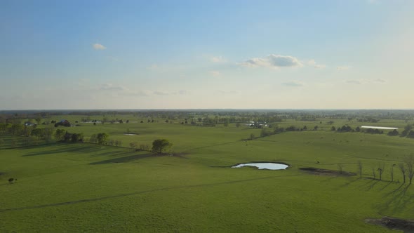 Aerial Following View of a Picturesque Summer Green Landscape Under the Sun alt
