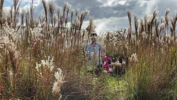 Camera Following Woman Hiking Top of Mountain in High Grass Na Pali Park Hawaii alt