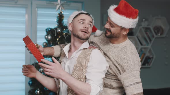 Christmas in Gay Family alt