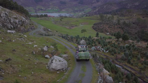 Tractor Transporting Newly Harvested Christmas Trees From Plantation. - aerial alt