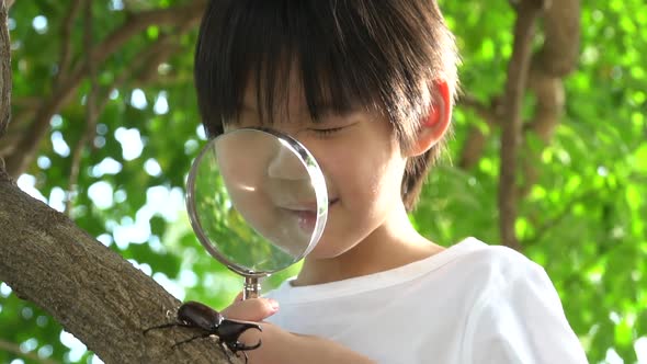 Cute Asian Child Looking Through A Magnifying Glass At A Rhinoceros Beetle In The Forest  alt