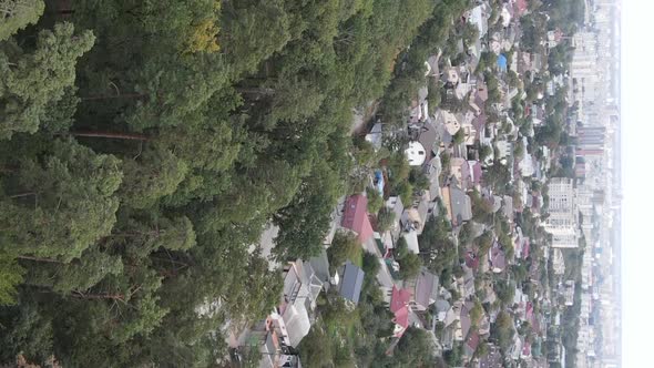 Aerial View of the Border of the Metropolis and the Forest alt