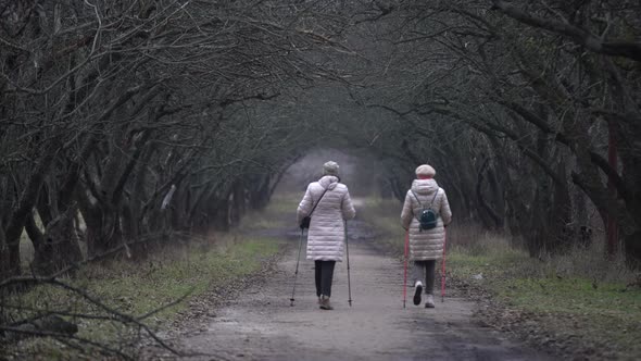 People Walking in the Fog Towards the End of the Alley with Trees alt