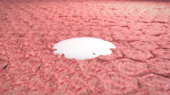 Animation of sunburn skin and drop of cream with healing and protective effect alt