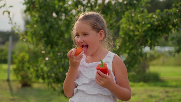 Portrait cute girl licking vegetable tomato at garden. Young school aged child person smile