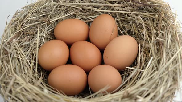 Chicken brown eggs in the nest spinning in the right