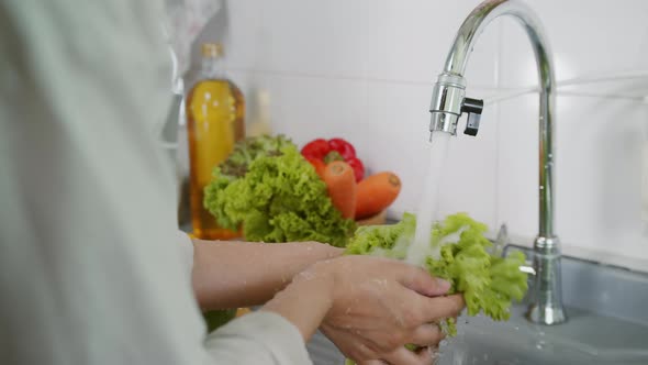 Close up of Woman Hand Washing a Fresh Vegetables
