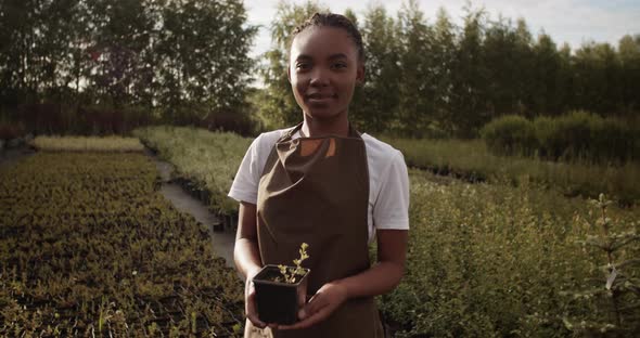 Young Black Farmer with Potted Plant in Countryside alt