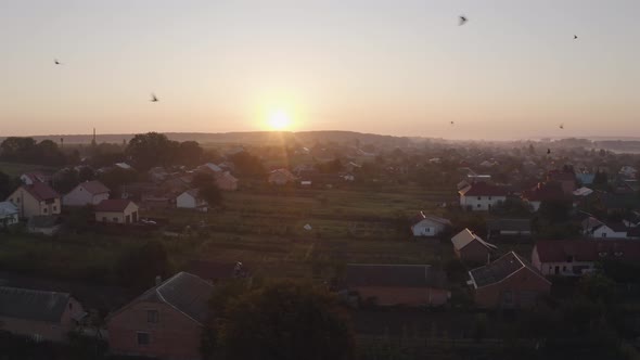 Aerial Drone View Over Old Village at Sunrise. Swallows Birds Fly in Large Swarms alt