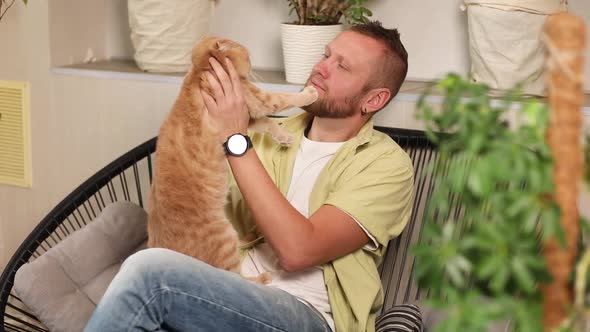 Man sitting on the armchair holding cute ginger cat, male hugging her cute kitty