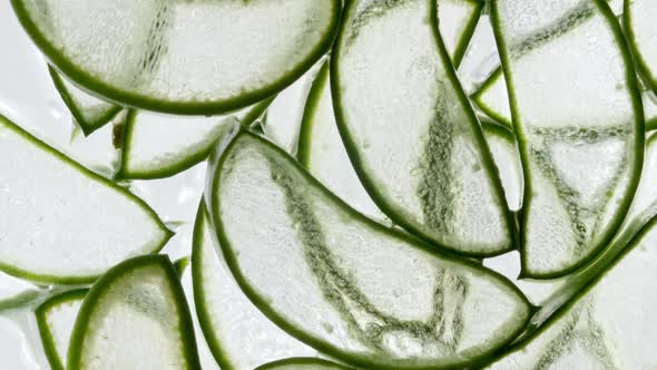 Pieces of Aloe Vera of Rotation on White Background alt