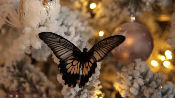 Butterfly on a Christmas Tree alt