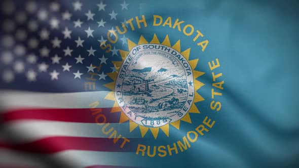 South Dakota State Usa Mixed Flag Front HD alt