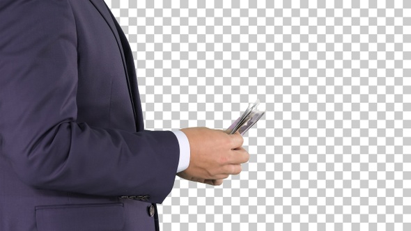 Businessman is counting money euros, Alpha Channel alt