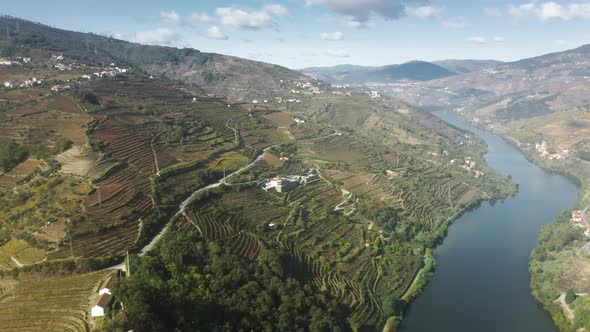 Douro Valley with Green Area on Sunny Day Peso Da Regua Vila Real Portugal alt