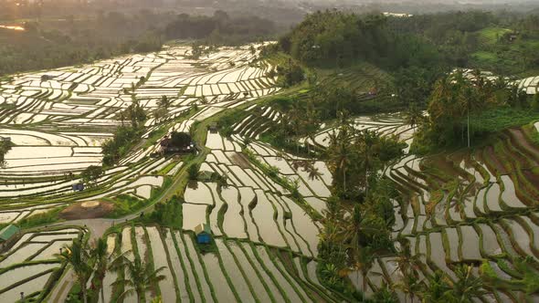 Aerial video in an amazing landscape rice field on Jatiluwih Rice Terraces, Bali, Indonesia alt