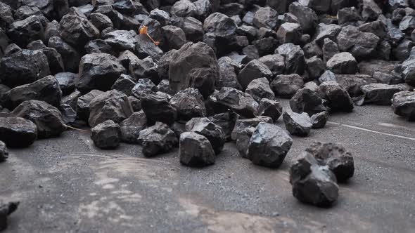 Stacking a pile of coal with a shovel. Preparation for the heating season.