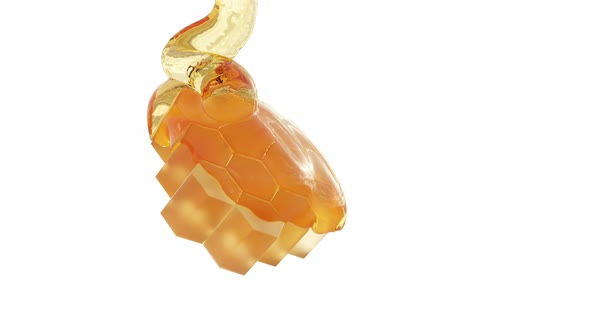 A piece of honeycomb. alt