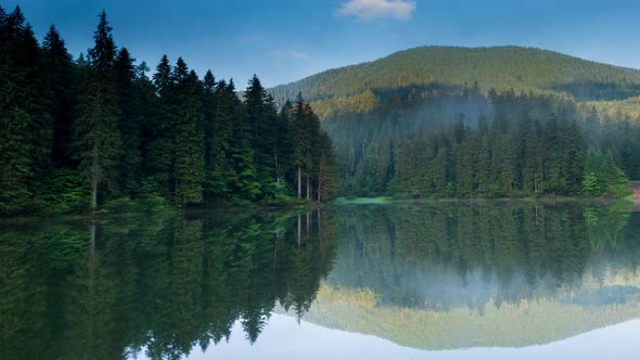 Beautiful Nature and a Wonderful Landscape with Lush Green Forests and Vegetation Around the Pearl