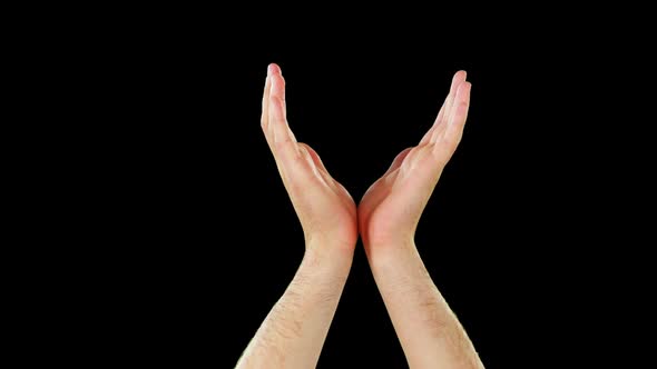 Close-up of hands gesturing alt