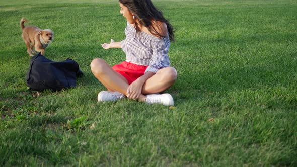 A pretty young hispanic woman and her small pet dog playing together in a park field. alt