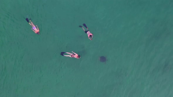 wide shot of 3 people snorkeling with in the Indian Ocean off Madagascar alt