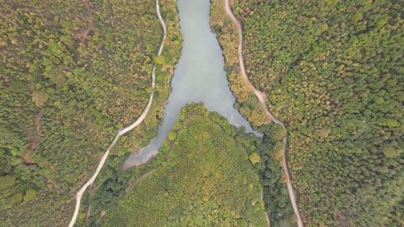aerial lake view between forests
