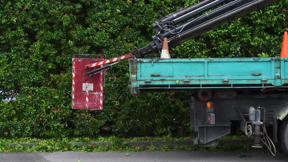 Lift crane on truck, tree pruning  streets of Singapore alt