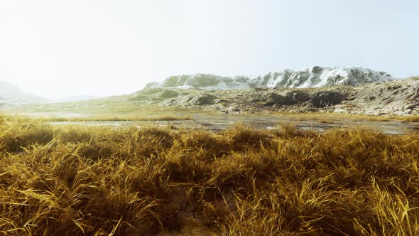 Dry Grass on the Mountain with Fog alt