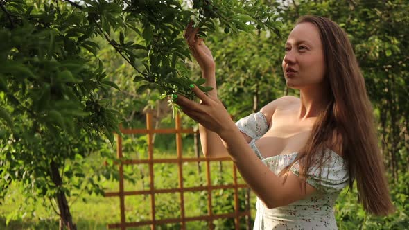 Woman Touching Tree Branches in Garden