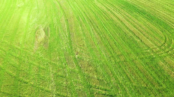Aerial view agricultural green field. Aerial fly over agricultural land. 