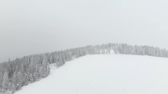 Aerial forward over snow covered landscape with forest and snow flying into the lens alt