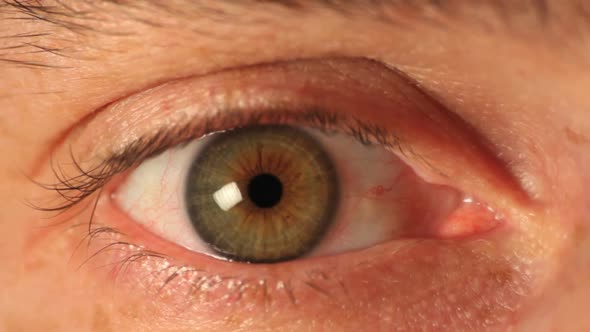 Green eye man close up studio alt