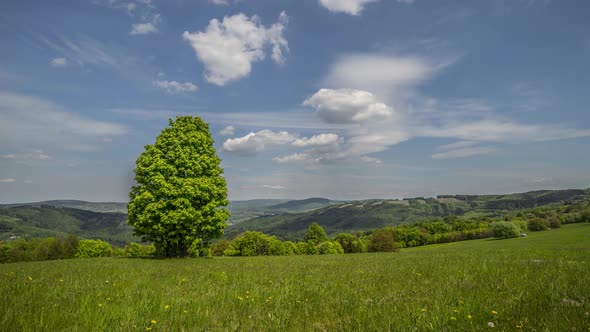 A magical view of nature in the countryside in the Czech Republic. Time lapse alt