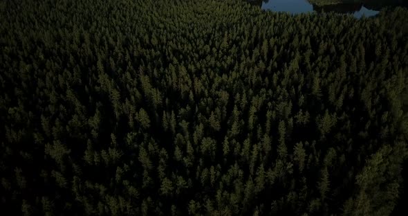 AERIAL tilt, skerries and pine tree forests in the Baltic sea, time ramp variable speed alt