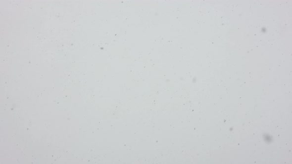 Snowflakes Falling on Gray Overcast Sky Background at Day Time in Slow Motion