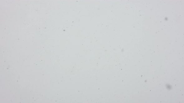Snowflakes Falling on Gray Overcast Sky Background at Day Time in Slow Motion alt