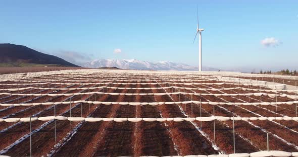 Aerial view of wind turbine near a wine vineyard, Golan Heights, Israel. alt