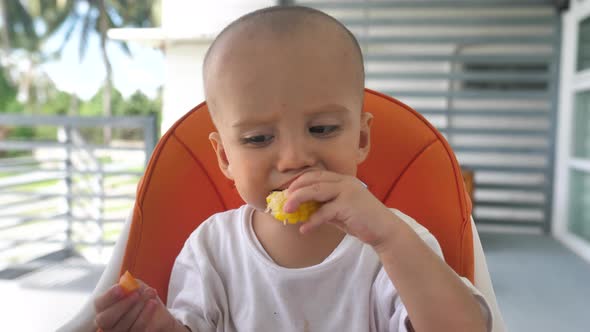 Portrait Close Up of Baby in High Chair Eating Sweet Corn and Vegetables Alone