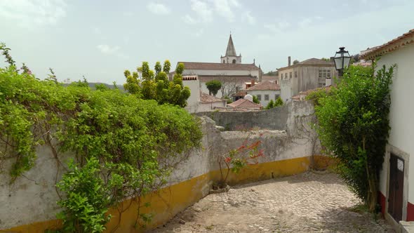 Lianas Hanging on the Walls of one of many Houses in Castle of Óbidos alt