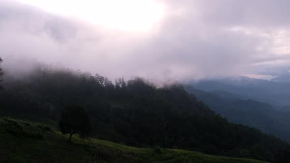 Landscape view of greenery rainforest mountains on foggy day