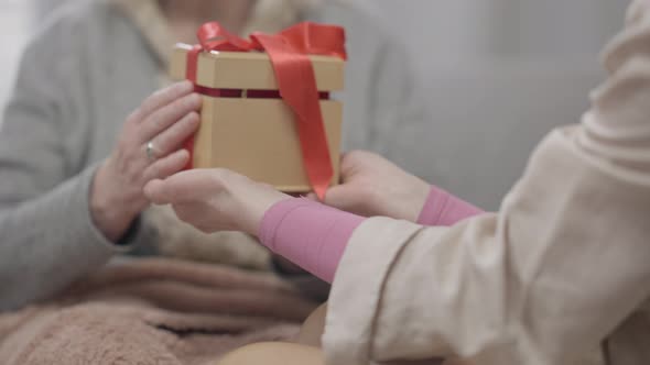 Camera Follows Gift Box in Female Hands As Woman Giving Present to Old Blurred Caucasian Retiree alt