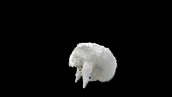 190 Bear Standing Magic Area Attack HD alt