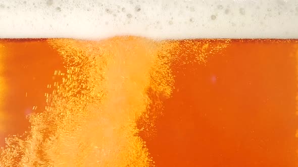 Pouring Beer. Closeup. Slow Motion alt