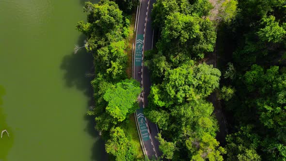 Aerial view Top-down green nature public park. Bike cycle way under green tree. alt