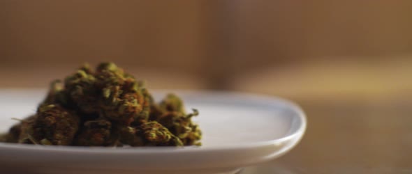 Plate with cannabis buds being moved on a table,close up,shallow depth of field alt