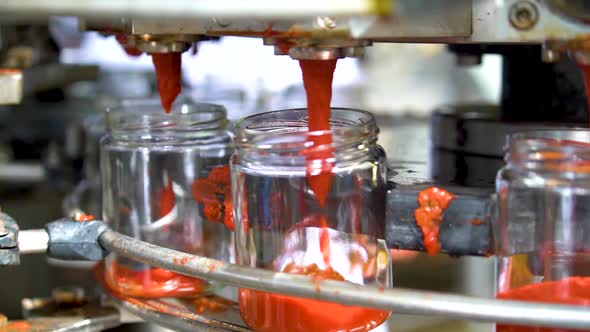 Automatic Line for Processing of Vegetables alt