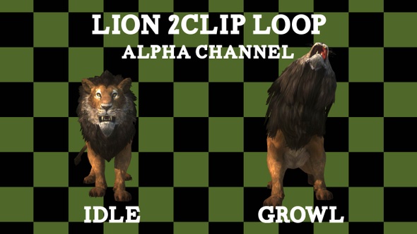 Lion 2 Clip Alpha Loop
