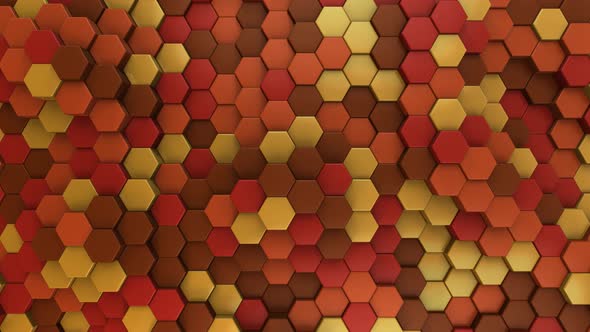 Autumn Hexagon Background / Fall - 4K alt