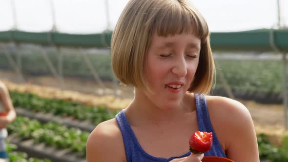 Girl eating strawberry in the farm 4k alt
